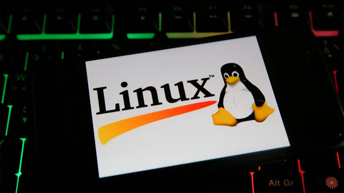 Pros y contras del SISTEMA OPERATIVO LINUX