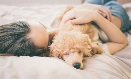 Pros y contras de DORMIR CON TU MASCOTA